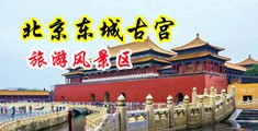 小淫娃操逼片段中国北京-东城古宫旅游风景区